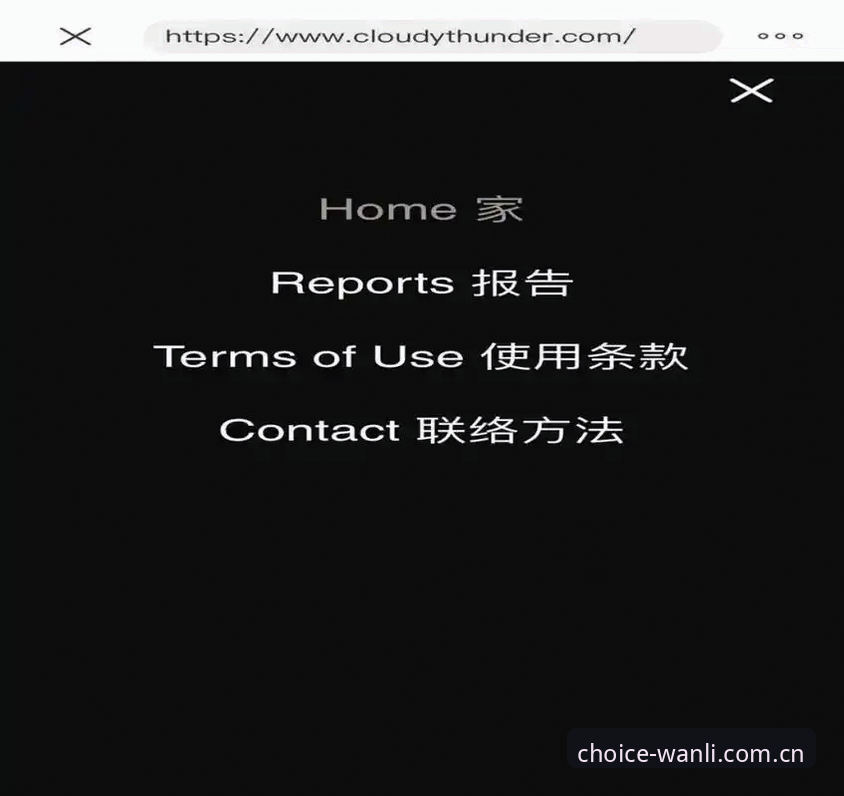 官网通道vs应用商店下载：万利官网app ios版两种安装路线谁的体验更好？